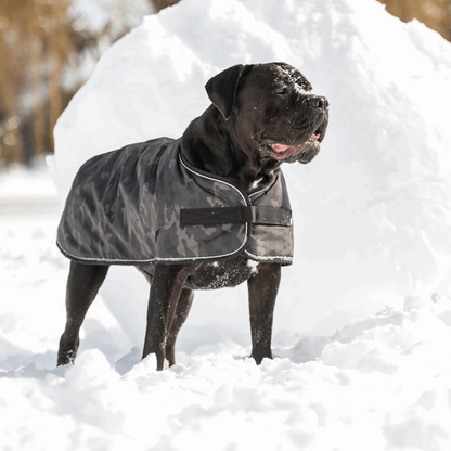 Blanket Dog Jacket - Camo