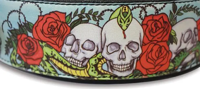 Leather Dog Collar Skull & Rose