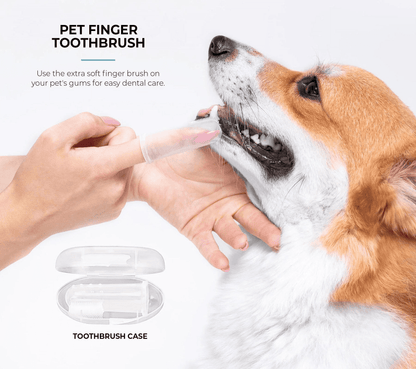 dog grooming kit