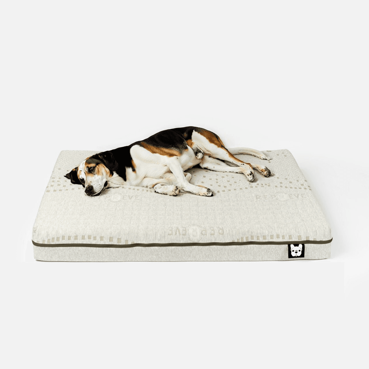 dog mattress