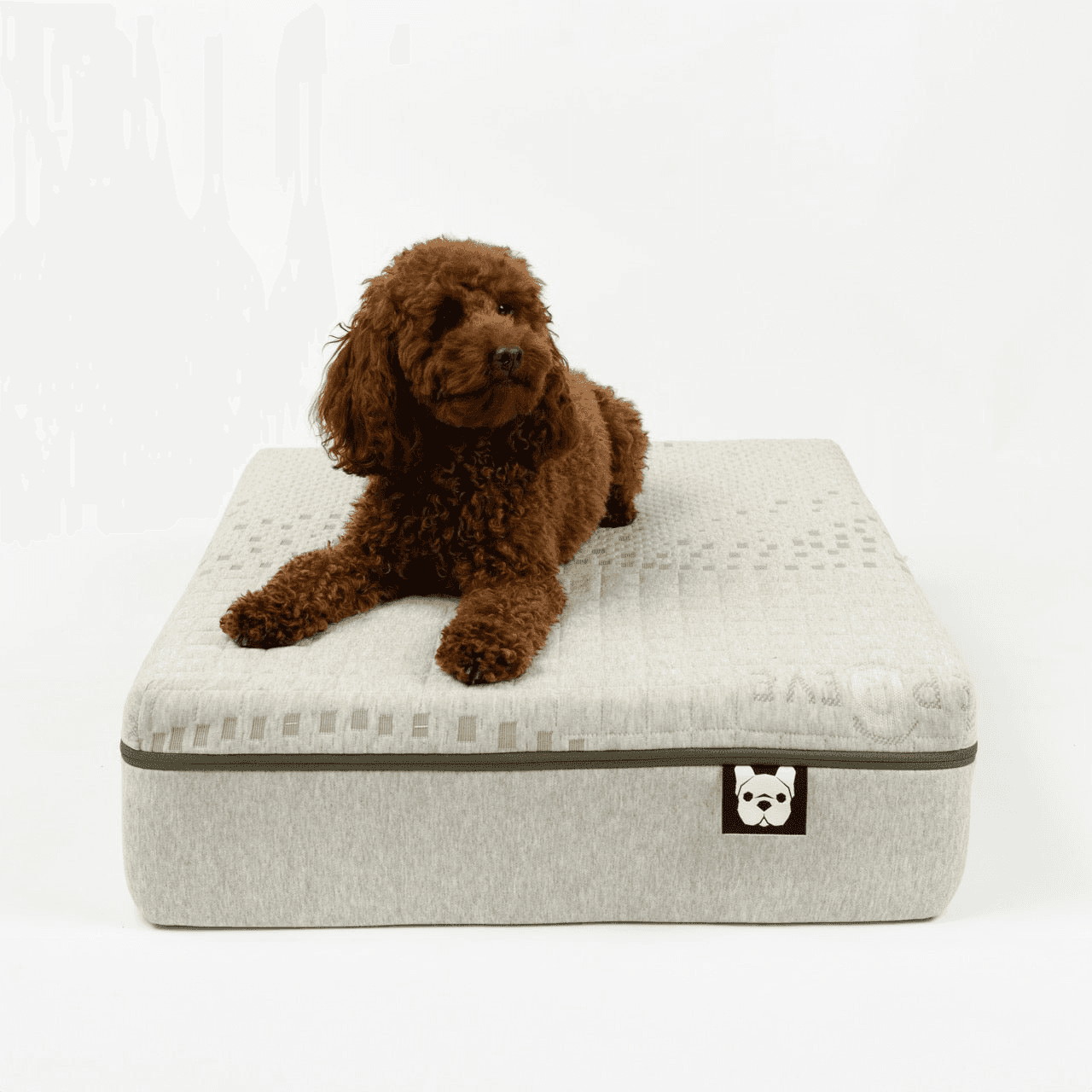 dog mattress