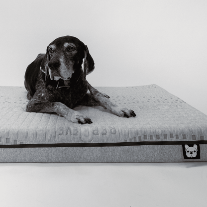 dog mattress