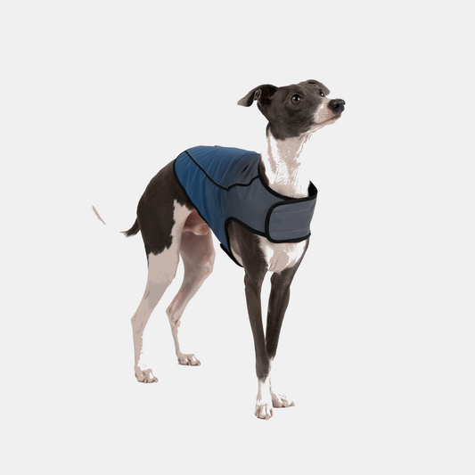 ARLO High-Visibility Dog Vest Water Repellent