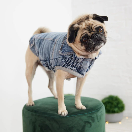 Denim Dog Jacket - Light Wash