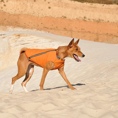 Eco Dog Jacket