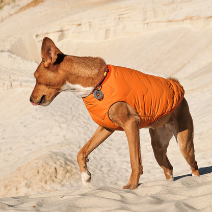 Eco Dog Jacket