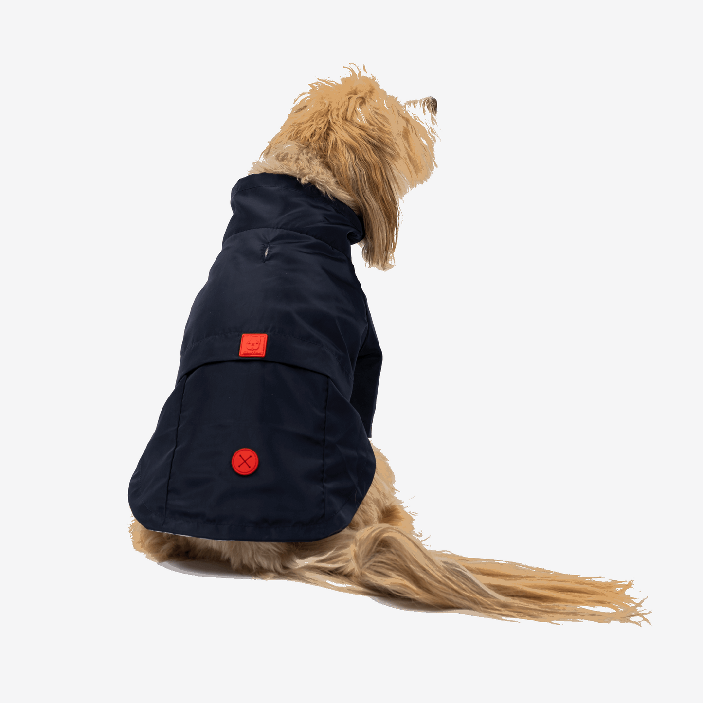 Jean-Paul Dog Raincoat