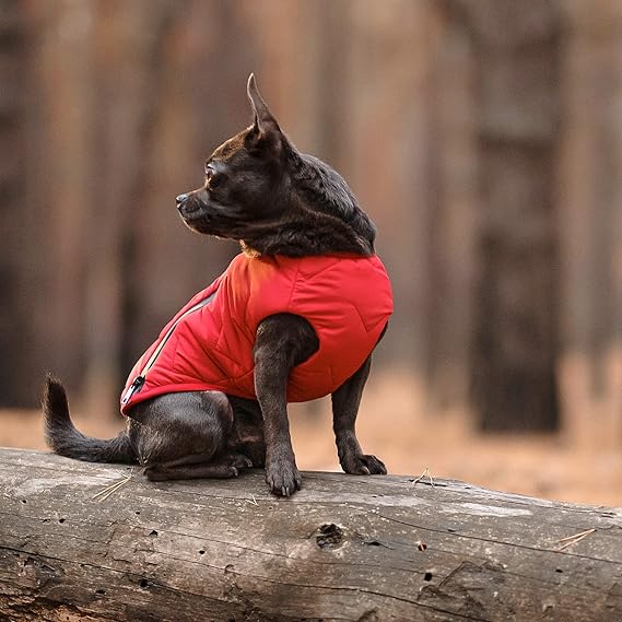 Eco Dog Jacket