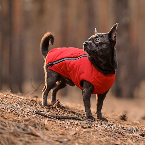 Eco Dog Jacket