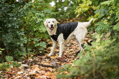 packable Dog Raincoat 