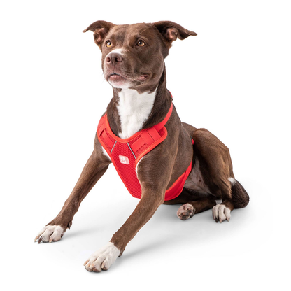 Cosy Pooch Travel Harness - Red