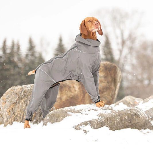 Cosy Pooch Splash Suit - Charcoal