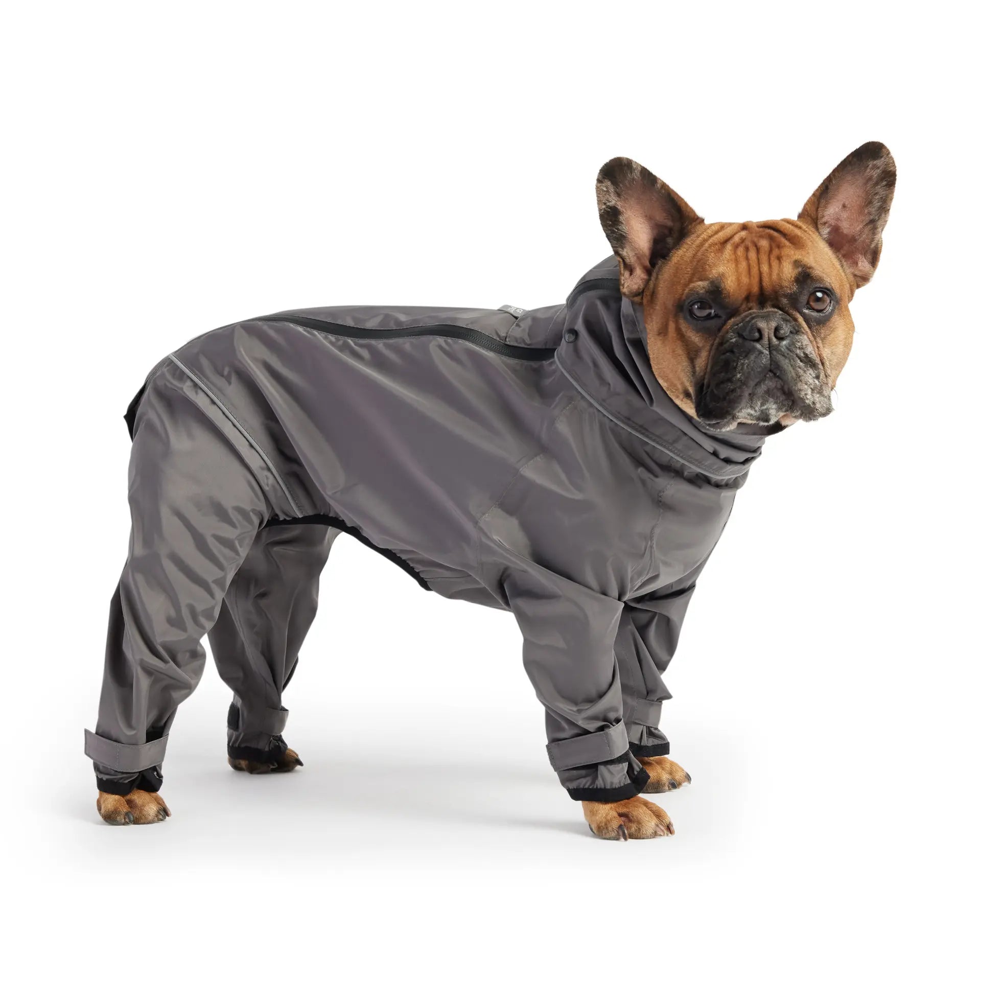 Cosy Pooch Splash Suit - Charcoal