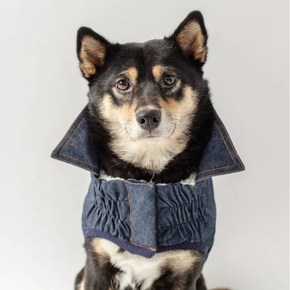 Denim Dog Jacket - Dark Blue