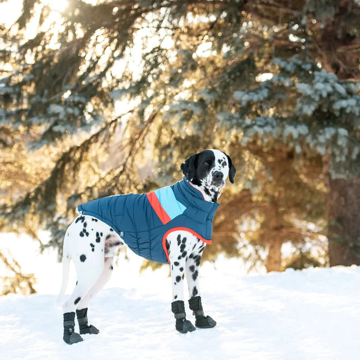 Alpine Dog Jacket - Dark Blue