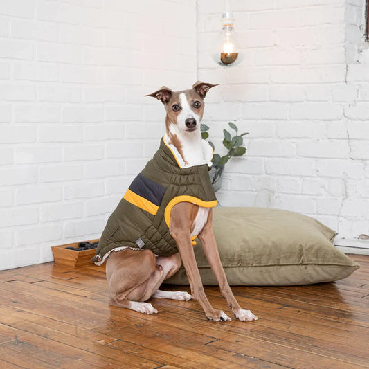 Alpine Dog Jacket - Dark Khaki