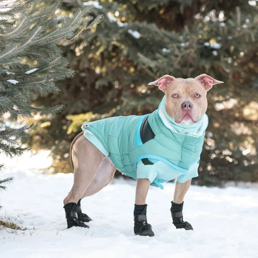 Alpine Dog Jacket - Light Aqua