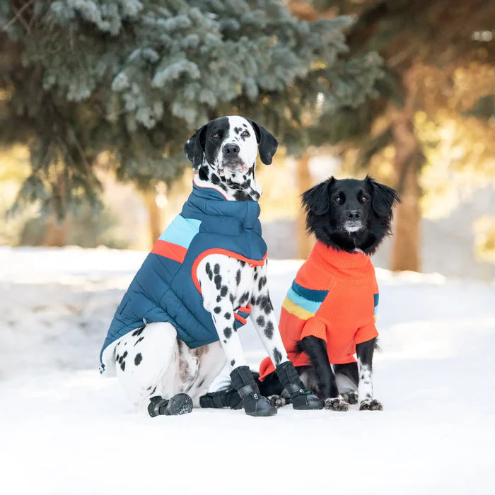 Alpine Dog Jacket - Dark Blue