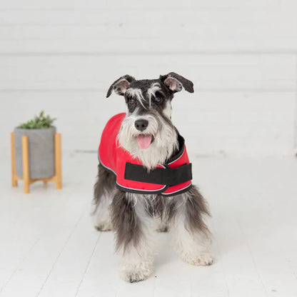 Blanket Dog Jacket - Red