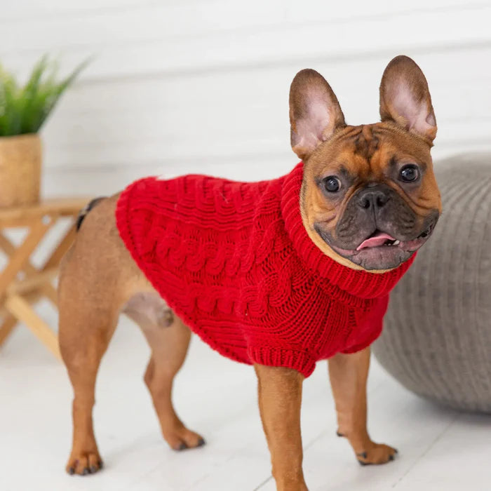 Chalet Dog Sweater - Red