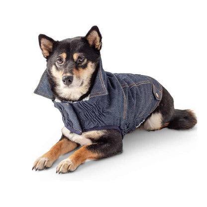 Denim Dog Jacket - Dark Blue