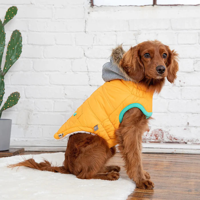 Winter Sailor Dog Parka - Yellow