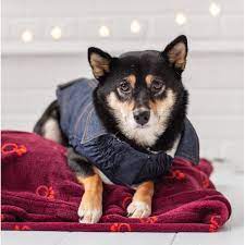 Denim Dog Jacket - Dark Blue