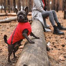 Eco Dog Jacket