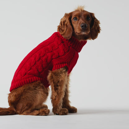 Chalet Dog Sweater - Red