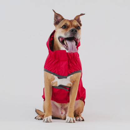 Reversible Dog Raincoat - Red Swirl