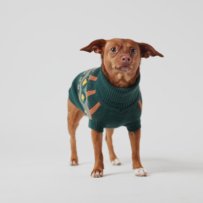 Heritage Dog Sweater - Teal