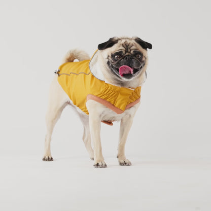 Insulated Dog Raincoat - Yellow