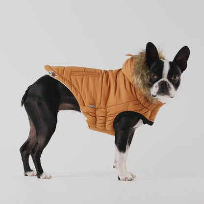 Urban Dog Parka - Caramel