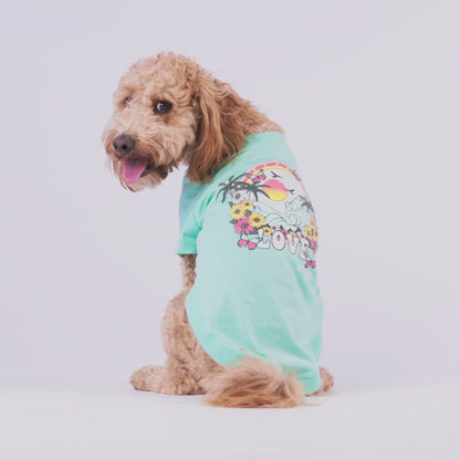 Graphic Dog Tee - Aqua