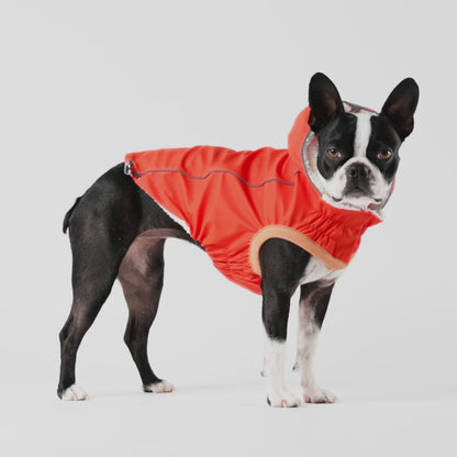 Insulated Dog Raincoat - Orange
