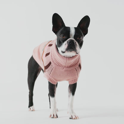 Heritage Dog Sweater - Pink