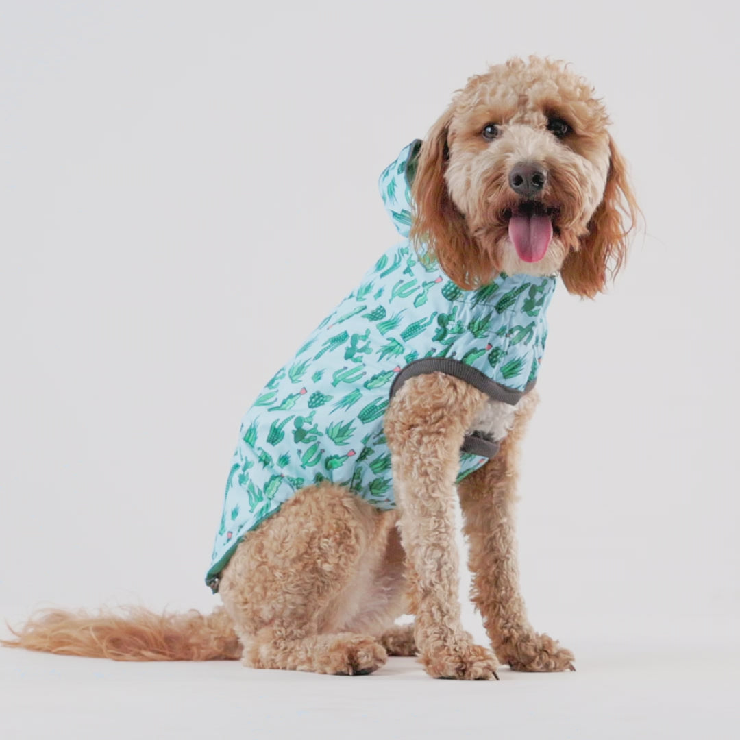 reversible dog raincoat - Green extra large dog