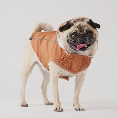 Insulated Dog Raincoat - Hazel