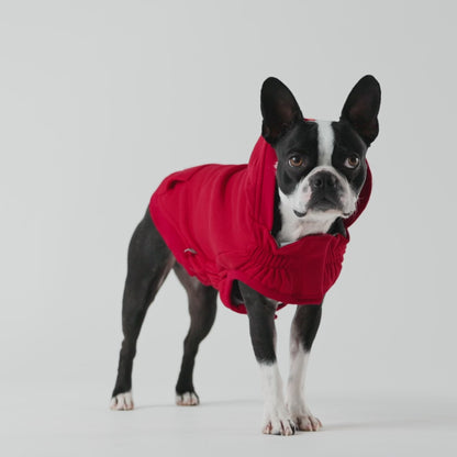 Urban Dog Hoodie - Red