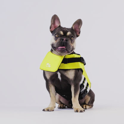 yellow dog life jacket with chin support