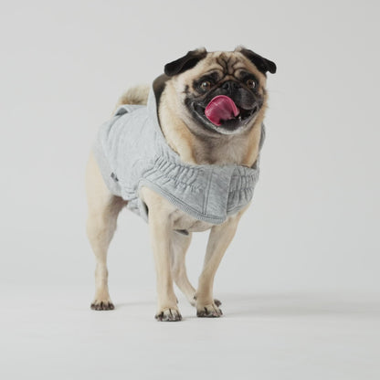 Urban Dog Hoodie - Grey